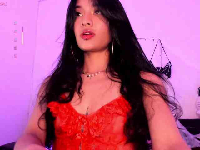 Nikymonet webcam