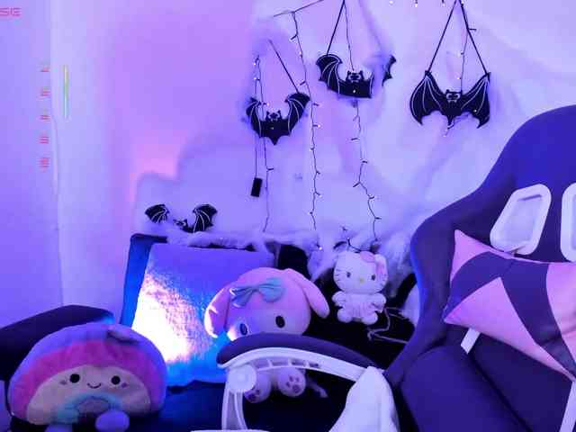 Nikymonet webcam