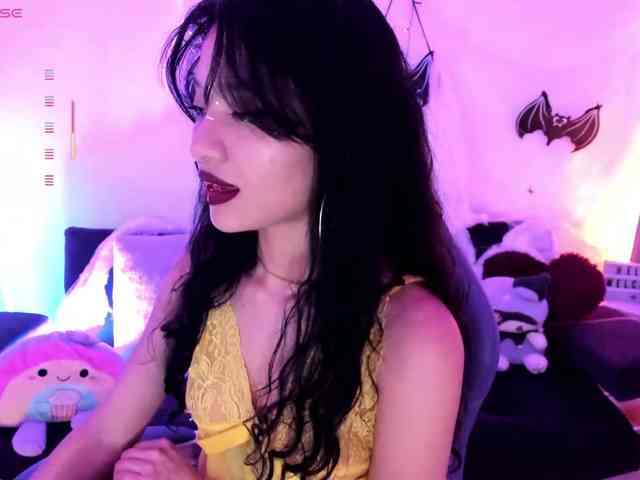 Nikymonet webcam