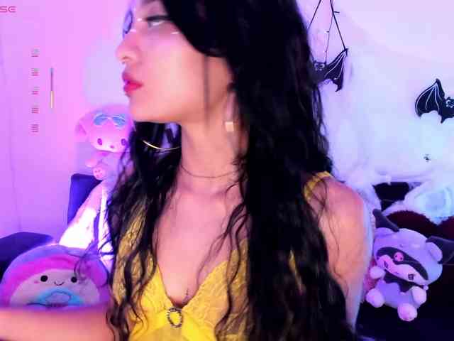 Nikymonet webcam