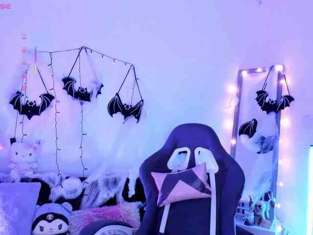 Nikymonet webcam