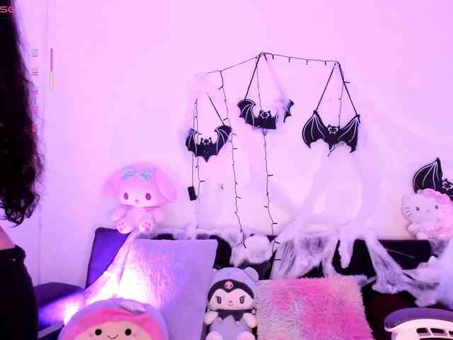 Nikymonet webcam