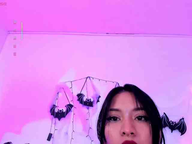 Nikymonet webcam