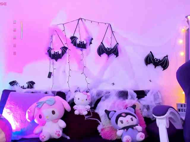Nikymonet webcam