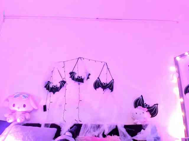 Nikymonet webcam