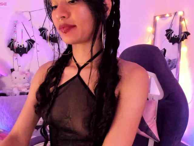 Nikymonet webcam