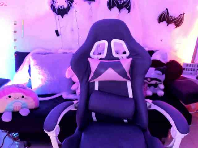 Nikymonet webcam