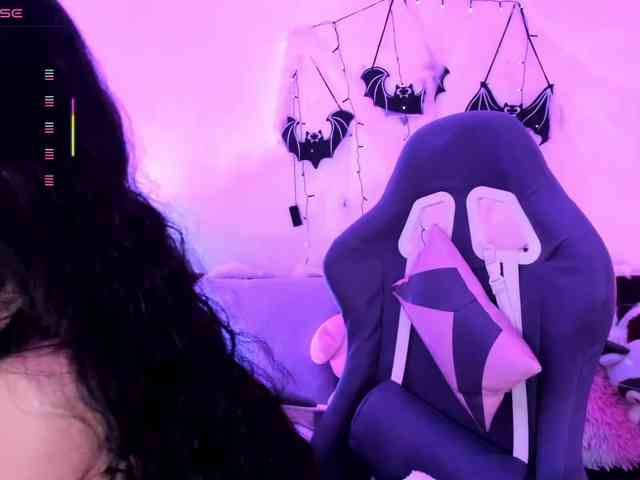 Nikymonet webcam