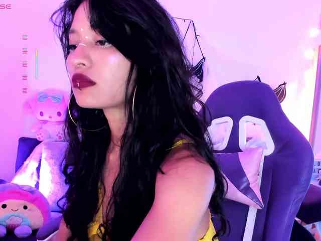 Nikymonet webcam