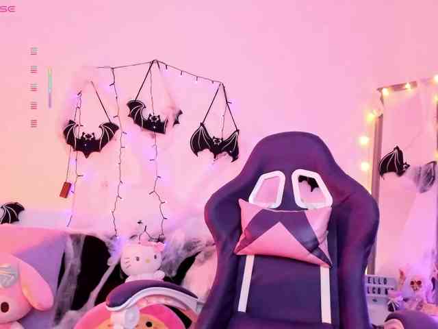 Nikymonet webcam