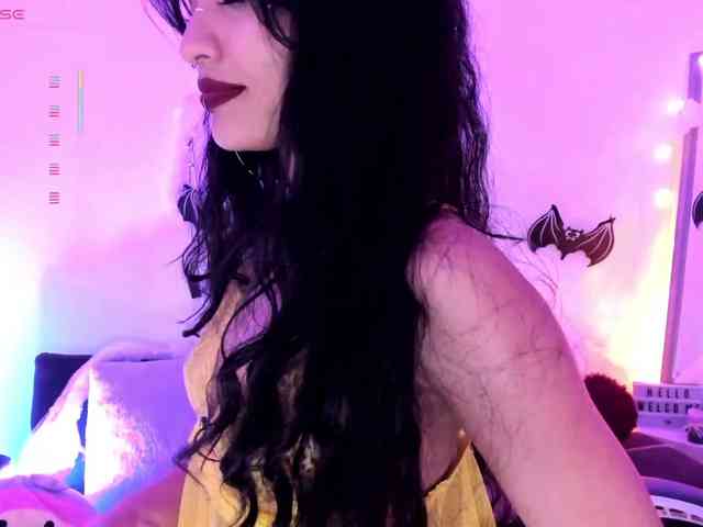 Nikymonet webcam