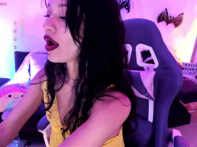 Nikymonet webcam