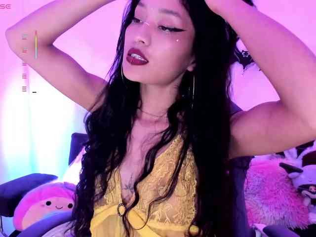 Nikymonet webcam