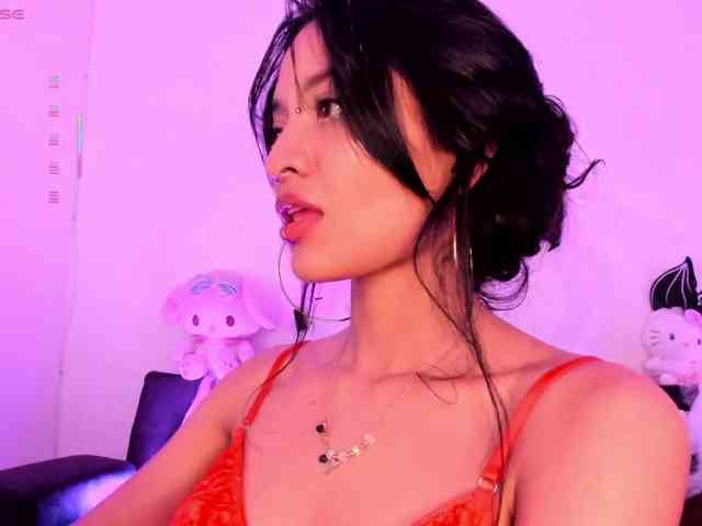 Nikymonet webcam