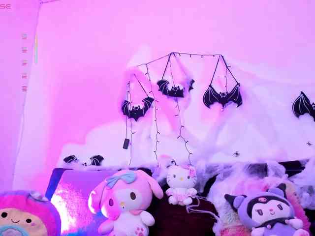 Nikymonet webcam