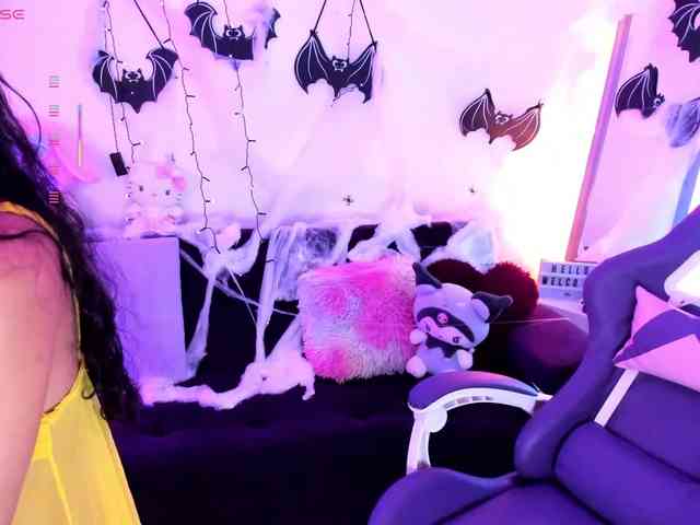 Nikymonet webcam