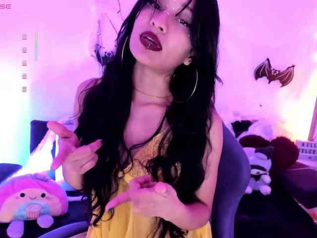 Nikymonet webcam