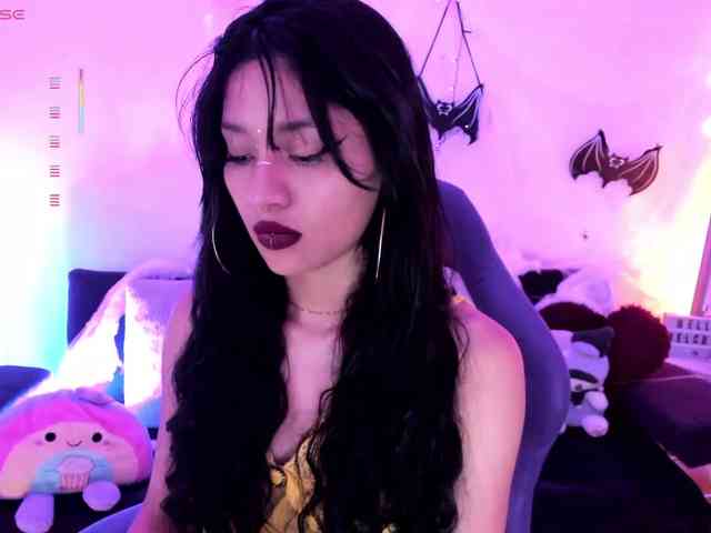 Nikymonet webcam