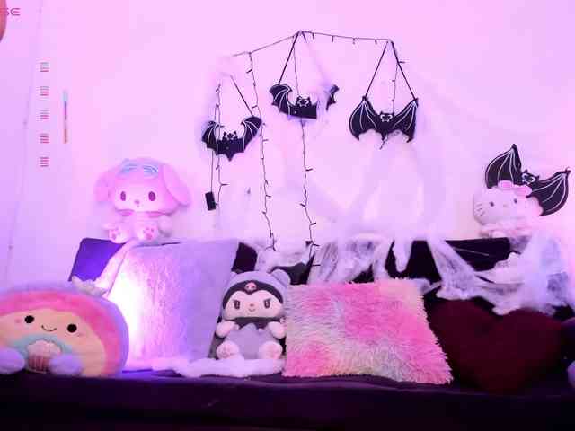 Nikymonet webcam