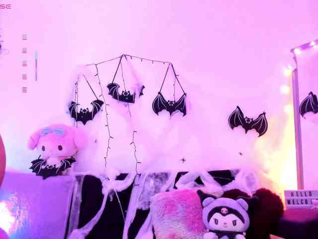 Nikymonet webcam