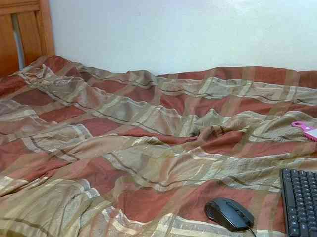 Shidydy webcam