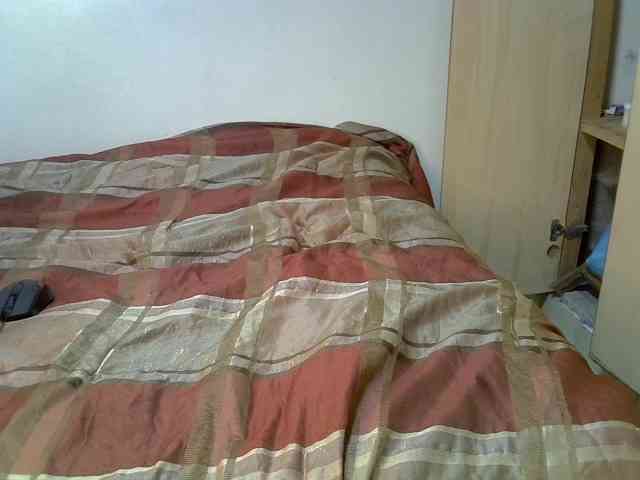 Shidydy webcam