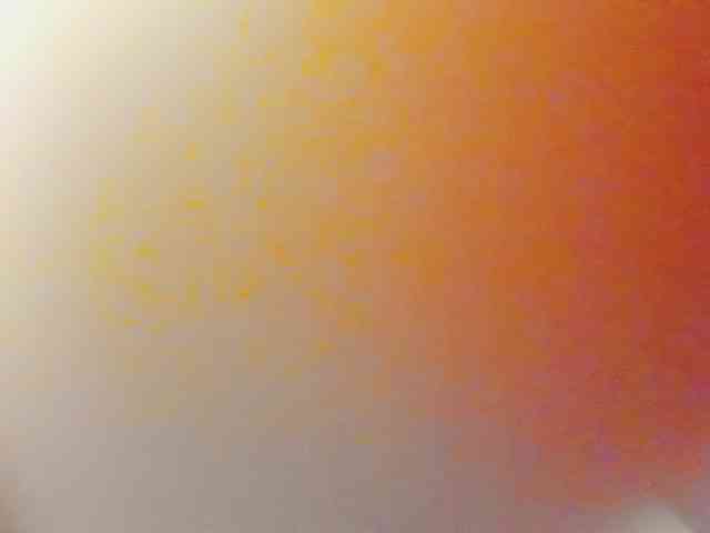 Timina webcam