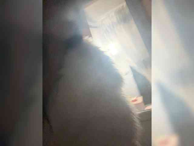 DinaRich webcam