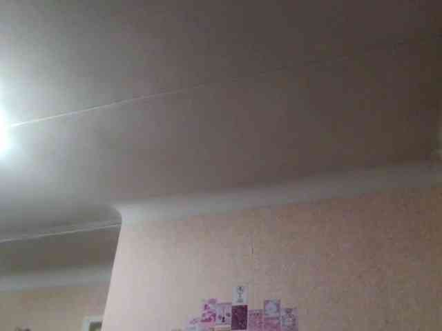HalinaMogg webcam