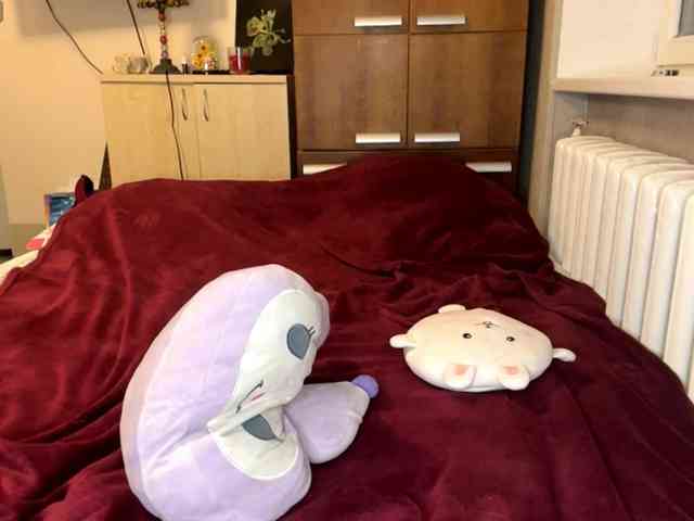 MaryjaneMacdougal MaryjaneMacdougal