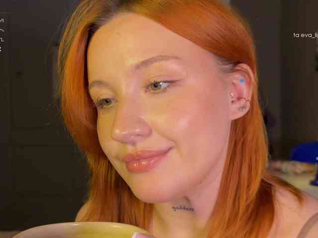 eva-swag webcam