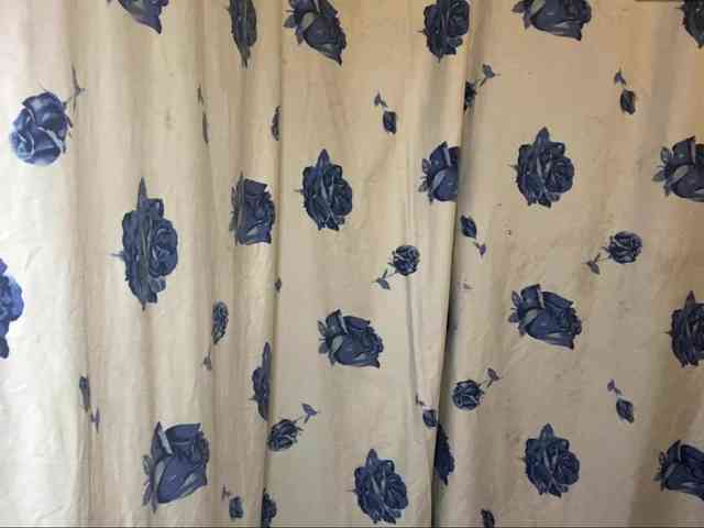 NakitaBayardo webcam