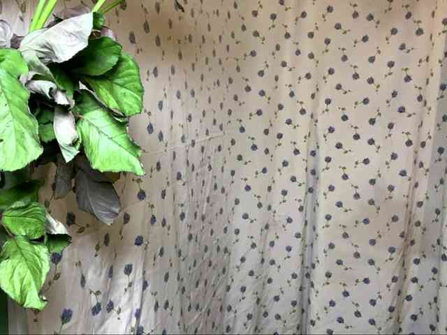 NakitaBayardo webcam