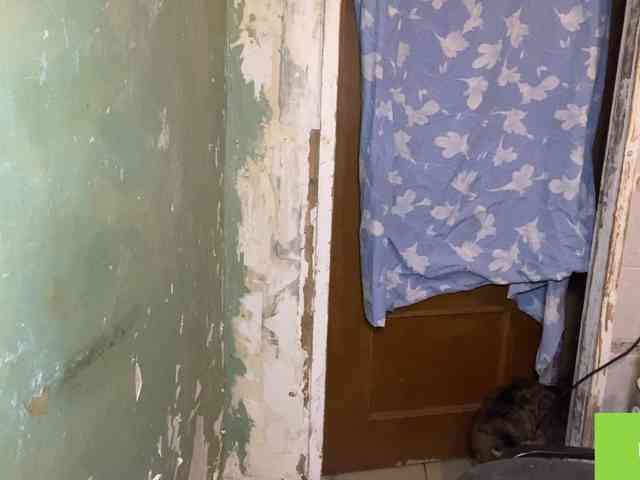 NakitaBayardo webcam