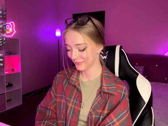 VersieBruegman webcam