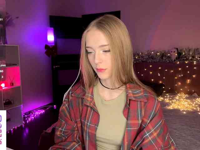 VersieBruegman webcam