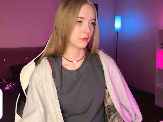 VersieBruegman webcam