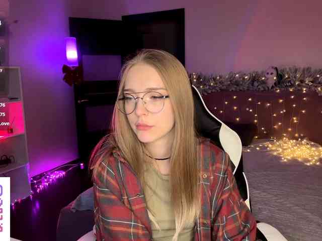 VersieBruegman webcam