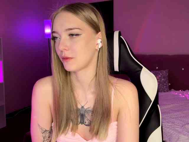 VersieBruegman webcam