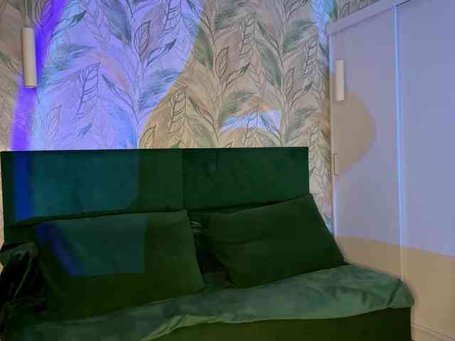 VersieBruegman webcam