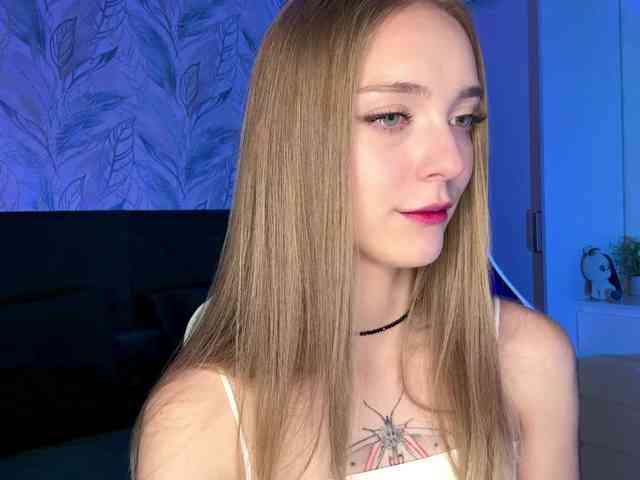 VersieBruegman webcam