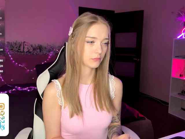 VersieBruegman webcam