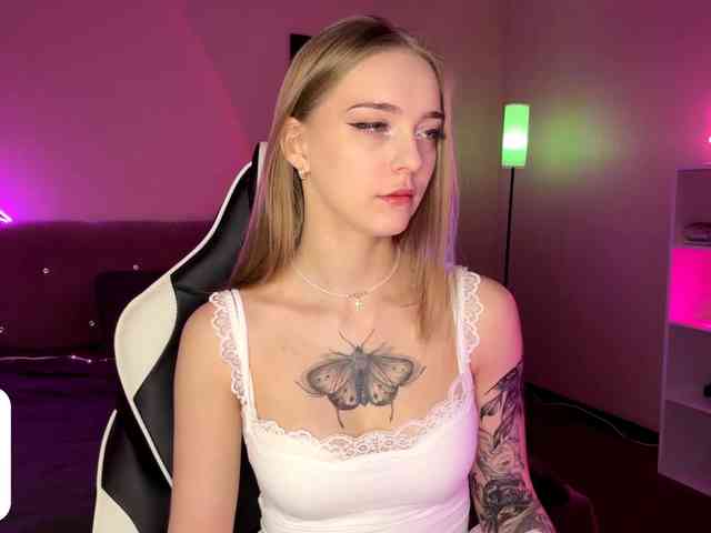 VersieBruegman webcam