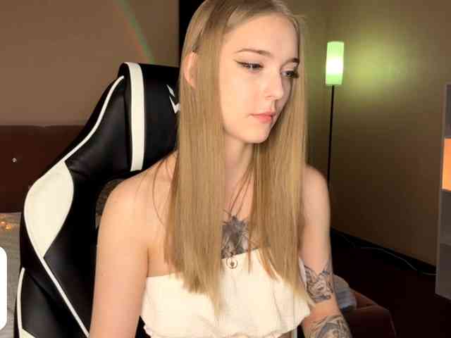 VersieBruegman webcam