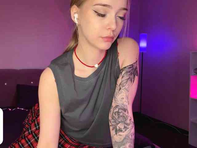 VersieBruegman webcam