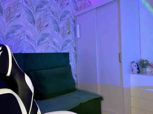 VersieBruegman webcam