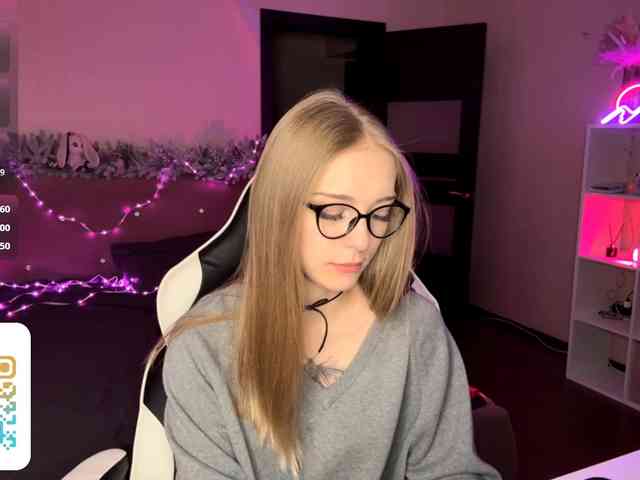 VersieBruegman webcam