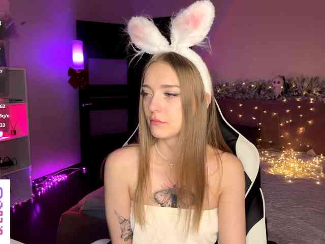 VersieBruegman webcam