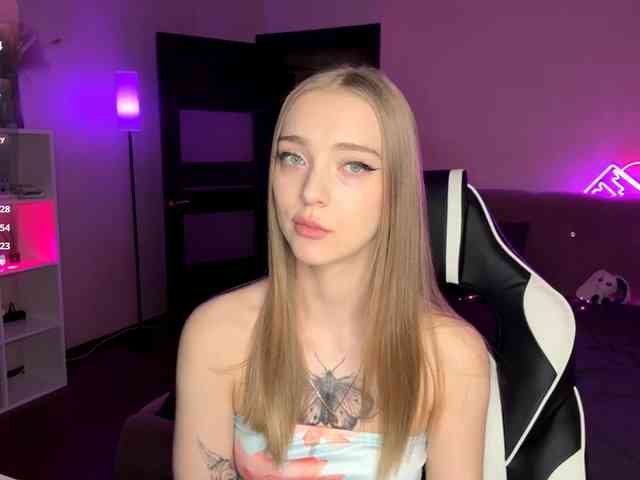 VersieBruegman webcam