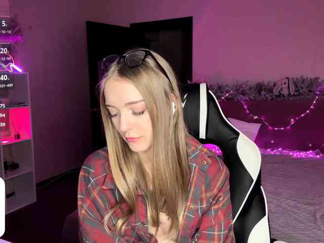 VersieBruegman webcam